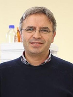 PhD, Prof. Vural Gökmen